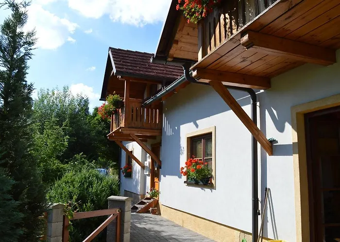 Druhy Domov 3* Nový Bor